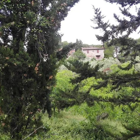 Casa Lilio *