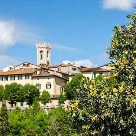 Casa Lilio