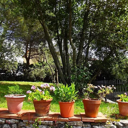 Casa Lilio Radda in Chianti